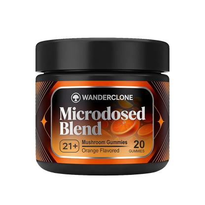 Wanderclone Road Trip - MICRODOSED Gummies + Functional Mushrooms - Orange