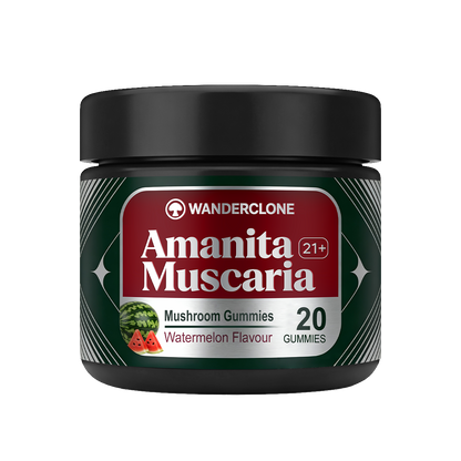 Wanderclone Amanita Muscaria Magic Mushroom Gummies - Watermelon