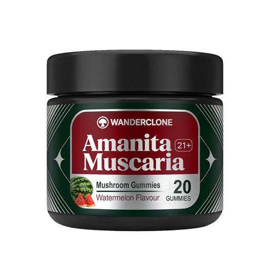 Wanderclone™ Amanita Muscaria Magic Mushroom Gummies - Watermelon