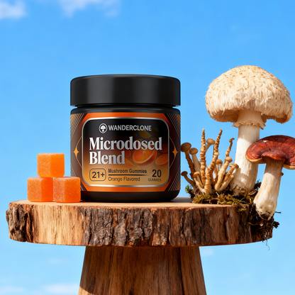 Wanderclone Road Trip - MICRODOSED Gummies + Functional Mushrooms - Orange