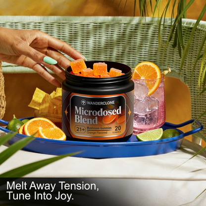 Wanderclone Road Trip - MICRODOSED Gummies + Functional Mushrooms - Orange